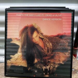 Dead or Alive Dance Version Cover Art 1x1 Frame